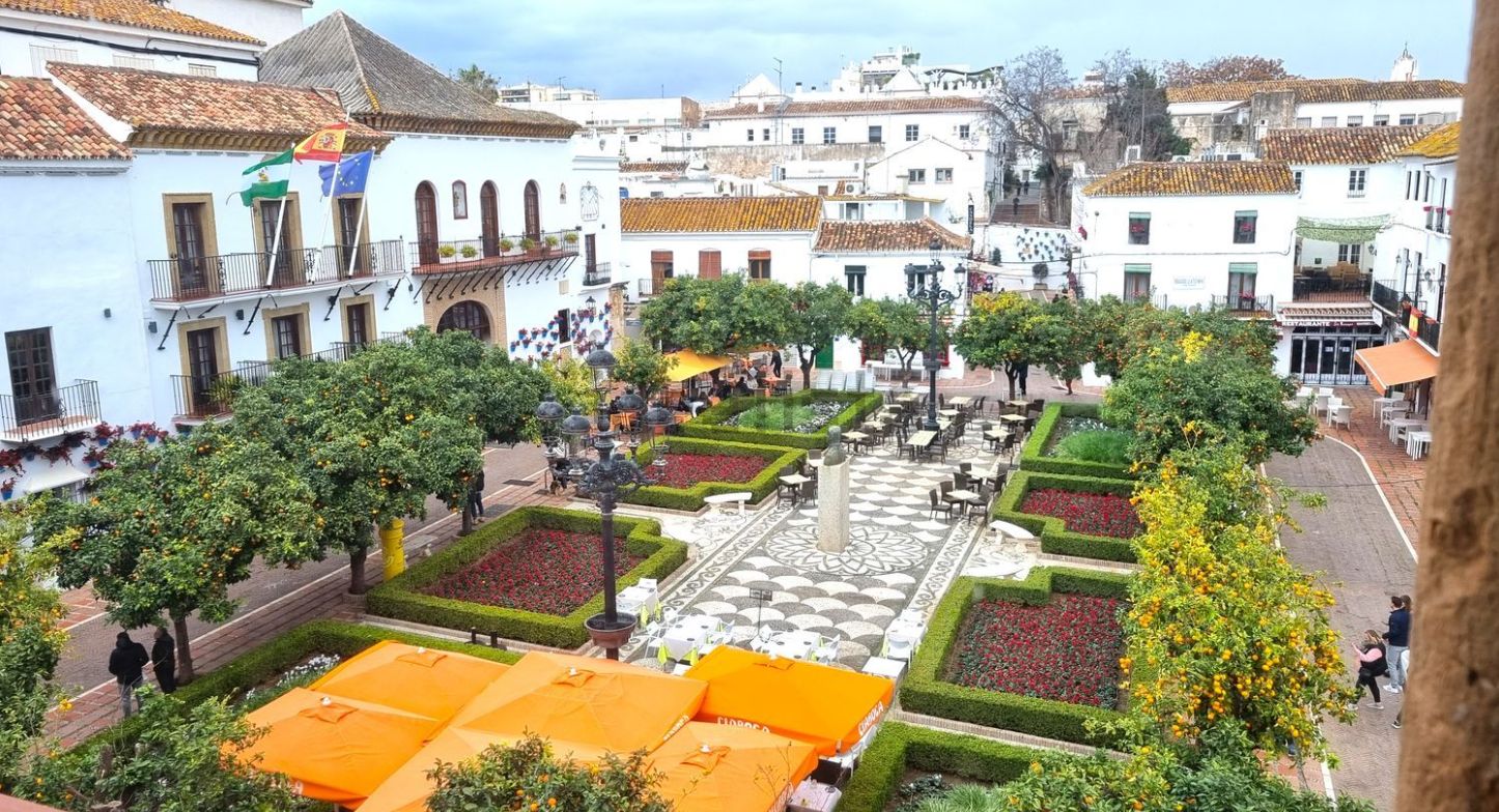 Edificio de uso mixto en venta en plaza de los Naranjos - Imagen 3